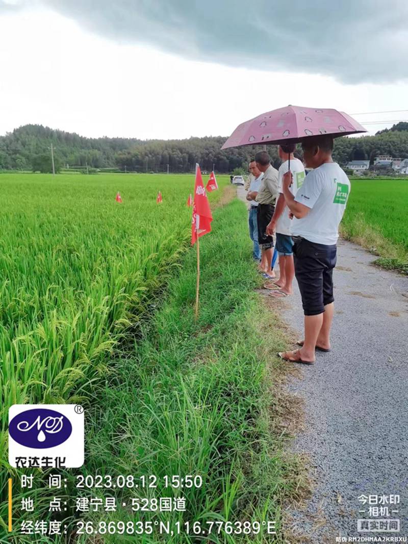 農(nóng)達(dá)制劑部開展水稻制種啟動會(圖2)