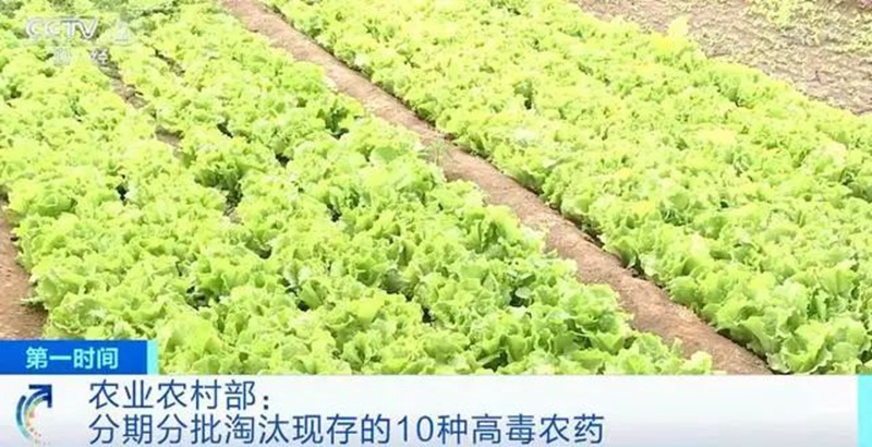 農業(yè)農村部：3年內淘汰這10種高毒農藥， 重點治理豇豆、韭菜、芹菜農殘超標(圖1)