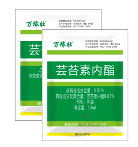 暴雨過后，玉米急需這樣補(bǔ)救！(圖2)